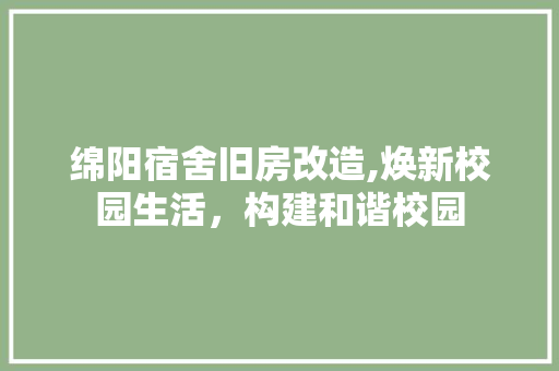 绵阳宿舍旧房改造,焕新校园生活，构建和谐校园