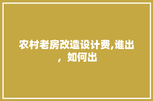 农村老房改造设计费,谁出，如何出
