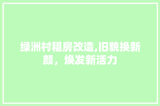 绿洲村租房改造,旧貌换新颜，焕发新活力