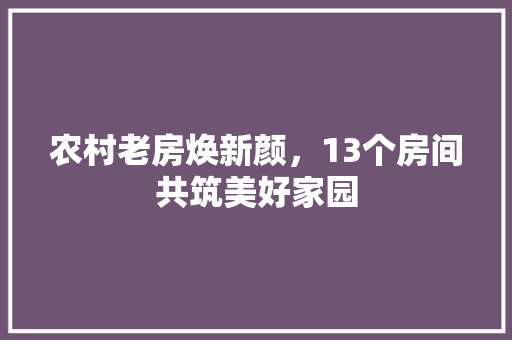 农村老房焕新颜，13个房间共筑美好家园