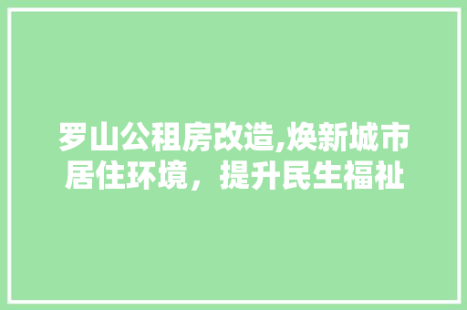 罗山公租房改造,焕新城市居住环境，提升民生福祉