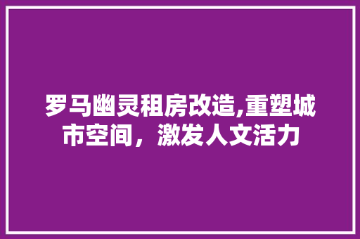 罗马幽灵租房改造,重塑城市空间，激发人文活力