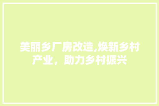 美丽乡厂房改造,焕新乡村产业，助力乡村振兴