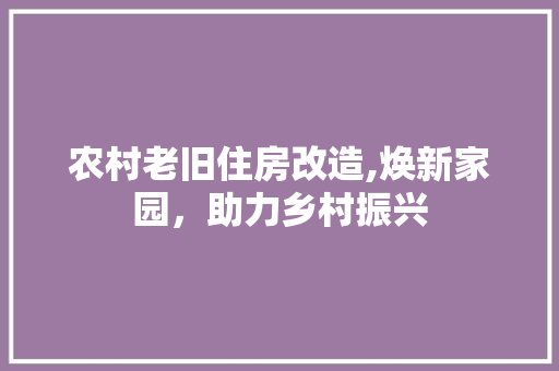 农村老旧住房改造,焕新家园，助力乡村振兴
