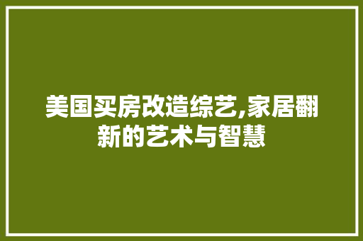 美国买房改造综艺,家居翻新的艺术与智慧