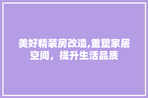 美好精装房改造,重塑家居空间，提升生活品质 建筑设计