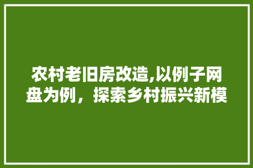 农村老旧房改造,以例子网盘为例，探索乡村振兴新模式