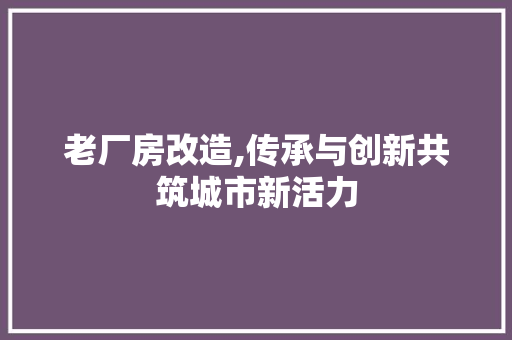 老厂房改造,传承与创新共筑城市新活力