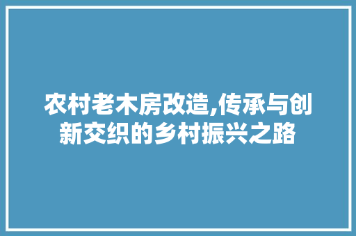 农村老木房改造,传承与创新交织的乡村振兴之路