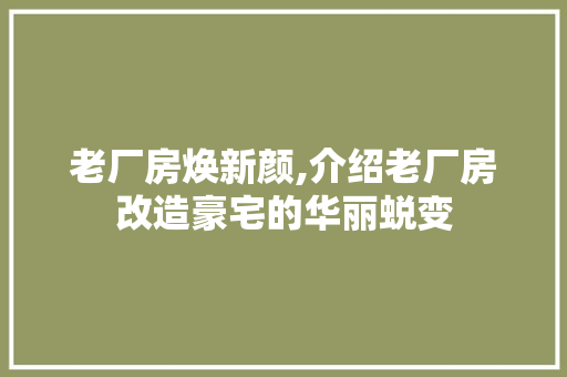 老厂房焕新颜,介绍老厂房改造豪宅的华丽蜕变