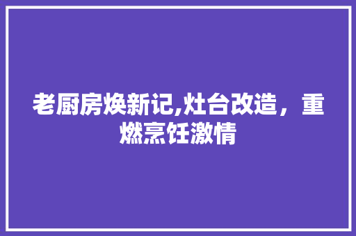 老厨房焕新记,灶台改造，重燃烹饪激情 地面装修