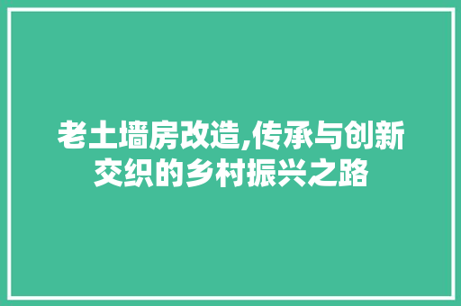 老土墙房改造,传承与创新交织的乡村振兴之路