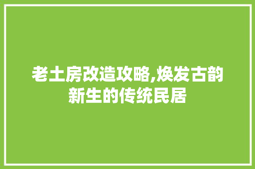 老土房改造攻略,焕发古韵新生的传统民居