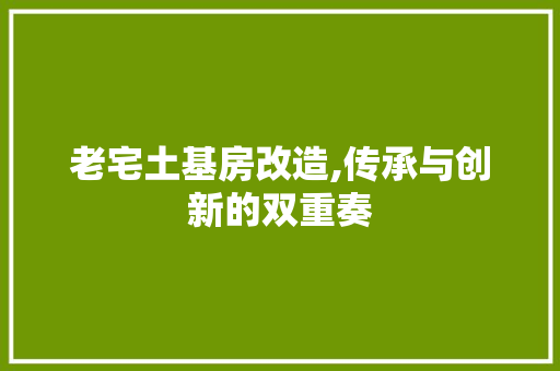 老宅土基房改造,传承与创新的双重奏 隔断设计