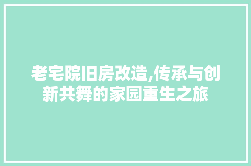 老宅院旧房改造,传承与创新共舞的家园重生之旅