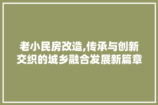 老小民房改造,传承与创新交织的城乡融合发展新篇章