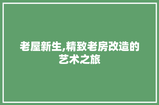 老屋新生,精致老房改造的艺术之旅 隔断设计