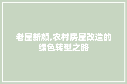 老屋新颜,农村房屋改造的绿色转型之路 墙面装饰