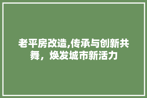 老平房改造,传承与创新共舞，焕发城市新活力 隔断设计