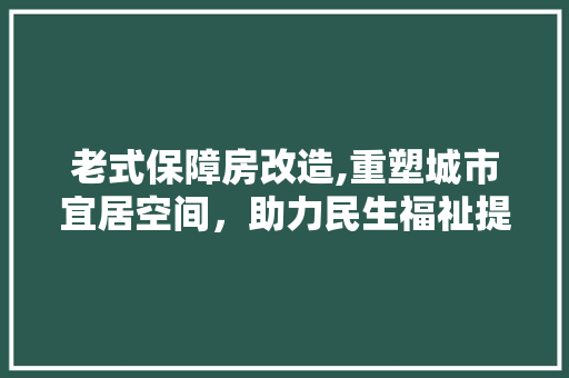 老式保障房改造,重塑城市宜居空间，助力民生福祉提升