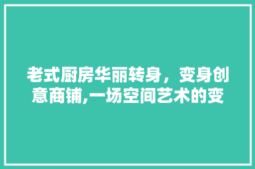 老式厨房华丽转身，变身创意商铺,一场空间艺术的变革之旅 景观设计