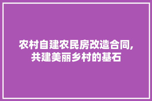 农村自建农民房改造合同,共建美丽乡村的基石