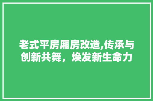老式平房厢房改造,传承与创新共舞，焕发新生命力