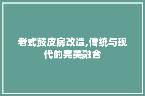 老式鼓皮房改造,传统与现代的完美融合