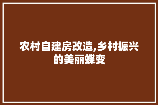 农村自建房改造,乡村振兴的美丽蝶变