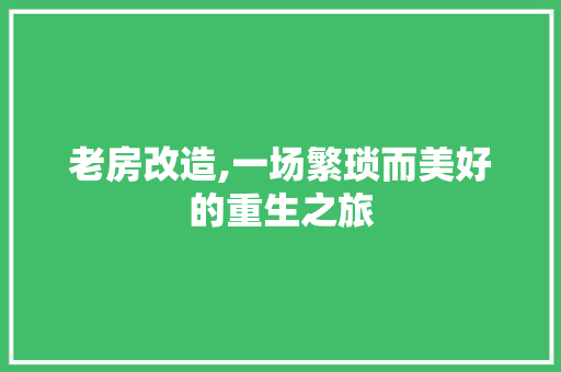 老房改造,一场繁琐而美好的重生之旅