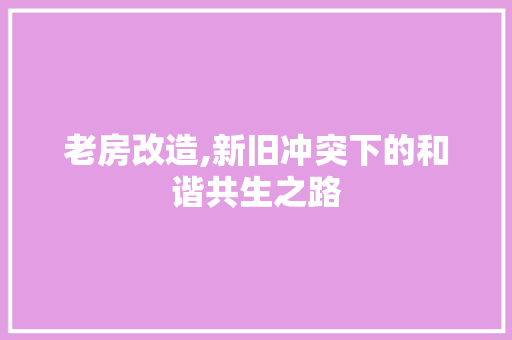 老房改造,新旧冲突下的和谐共生之路