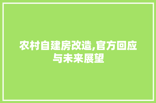农村自建房改造,官方回应与未来展望