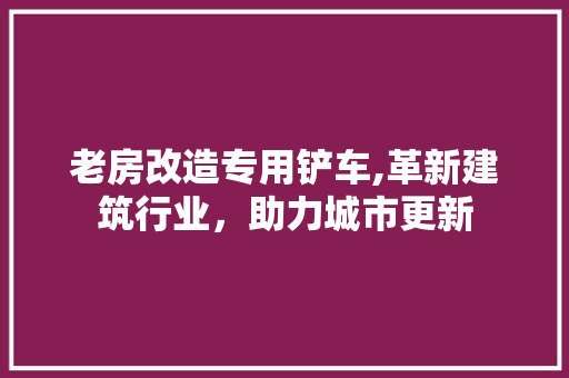 老房改造专用铲车,革新建筑行业，助力城市更新 庭院装修