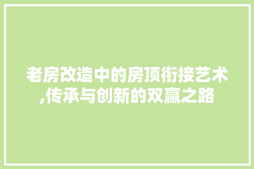 老房改造中的房顶衔接艺术,传承与创新的双赢之路 地面装修
