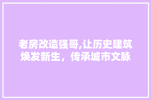 老房改造强哥,让历史建筑焕发新生，传承城市文脉