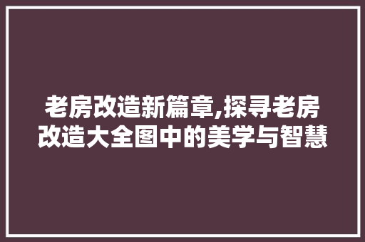老房改造新篇章,探寻老房改造大全图中的美学与智慧 建筑设计