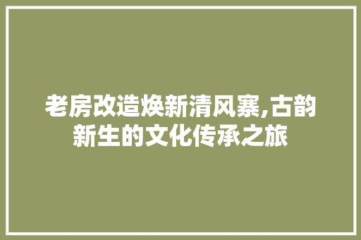 老房改造焕新清风寨,古韵新生的文化传承之旅