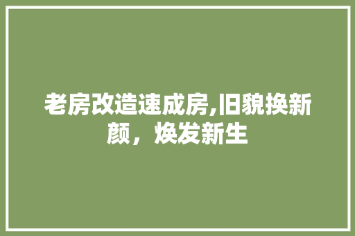 老房改造速成房,旧貌换新颜，焕发新生