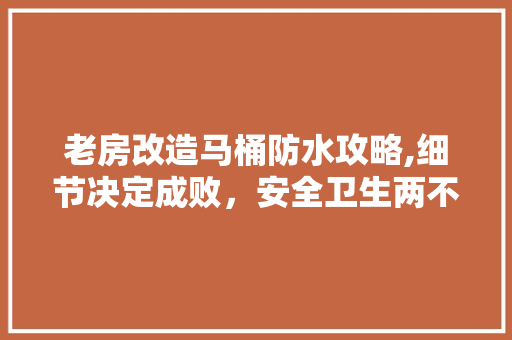 老房改造马桶防水攻略,细节决定成败，安全卫生两不误