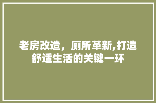 老房改造，厕所革新,打造舒适生活的关键一环