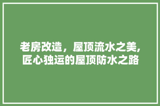 老房改造，屋顶流水之美,匠心独运的屋顶防水之路