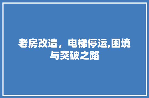 老房改造，电梯停运,困境与突破之路
