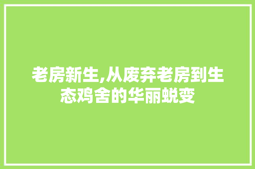 老房新生,从废弃老房到生态鸡舍的华丽蜕变 装修攻略