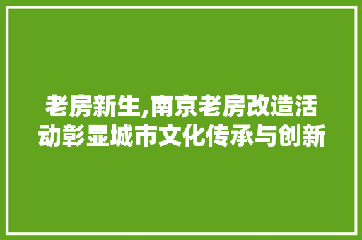 老房新生,南京老房改造活动彰显城市文化传承与创新 地面装修