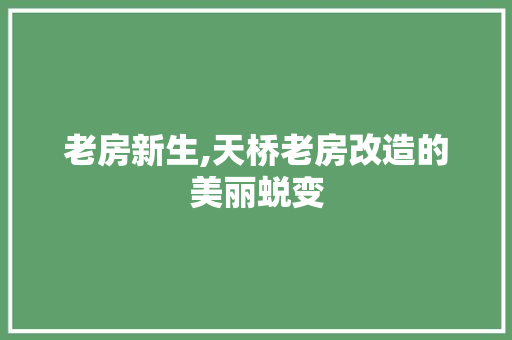 老房新生,天桥老房改造的美丽蜕变 建筑设计