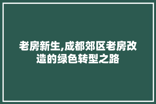 老房新生,成都郊区老房改造的绿色转型之路 地面装修
