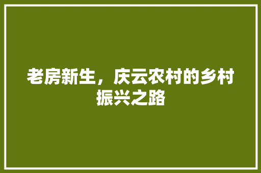 老房新生，庆云农村的乡村振兴之路