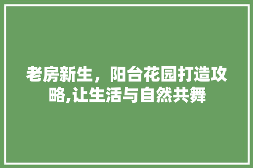 老房新生，阳台花园打造攻略,让生活与自然共舞