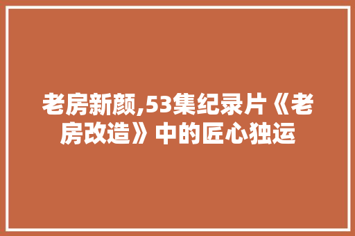 老房新颜,53集纪录片《老房改造》中的匠心独运