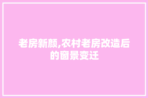 老房新颜,农村老房改造后的窗景变迁